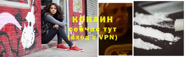 спайс Каменногорск