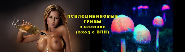 тгк Каменск-Шахтинский