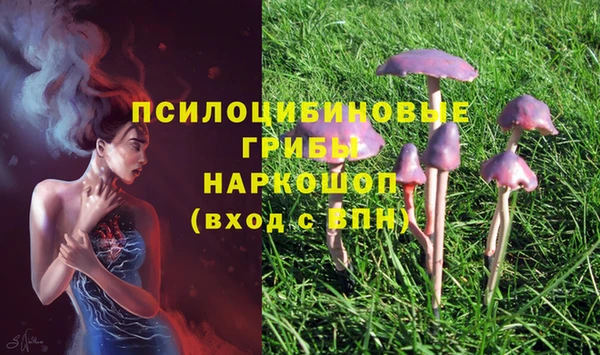 спайс Каменногорск