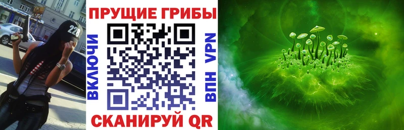 Галлюциногенные грибы прущие грибы  Купить  Верхняя Пышма 
